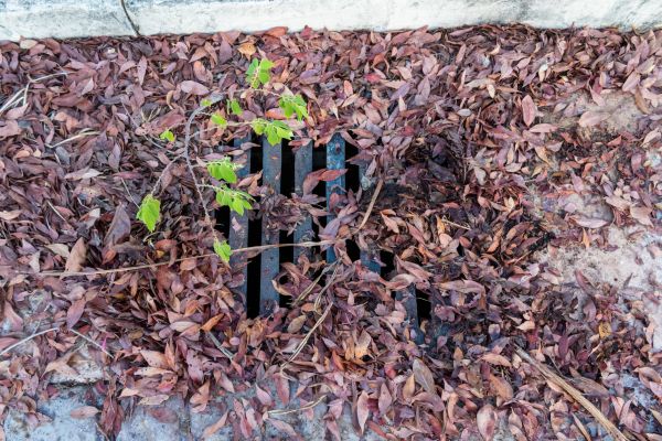 Yard Drain Unclogging in Fargo