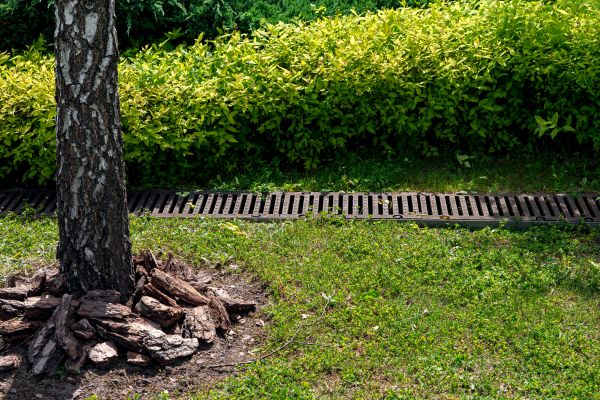 Wet Yard Drainage in Fargo