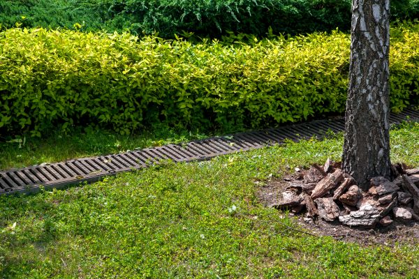 Residential Landscape Drainage in Fargo