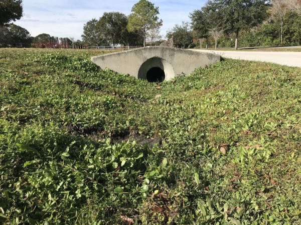 Cost of Swale Drainage Service in Fargo